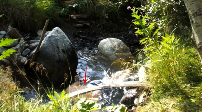 Пикантности моего утра. (приэльбрусье, терскол)