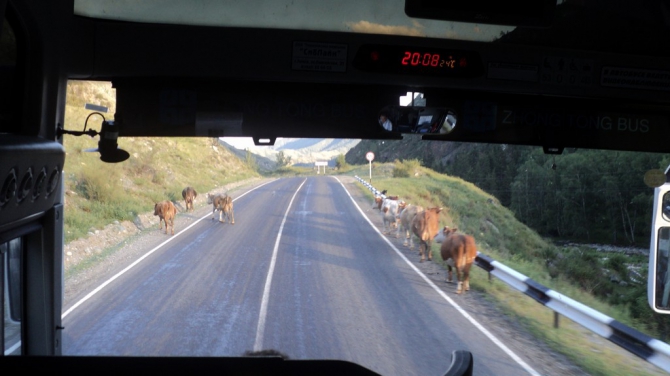 Хроники Новосибирского альпинизма: июль-август 2014 в Актру, детская смена. (дети)