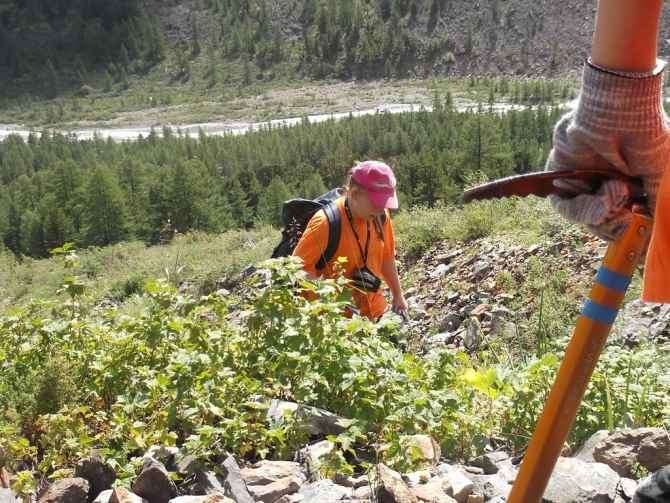 Хроники Новосибирского альпинизма: июль-август 2014 в Актру, детская смена. (дети)