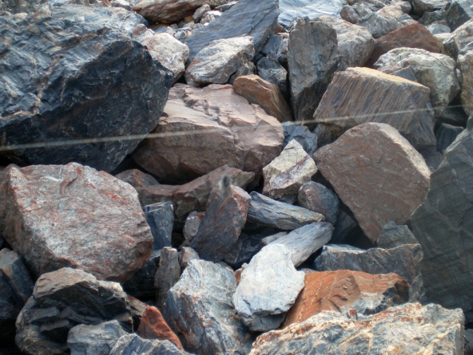 Хроники Новосибирского альпинизма: июль-август 2014 в Актру, детская смена. (дети)