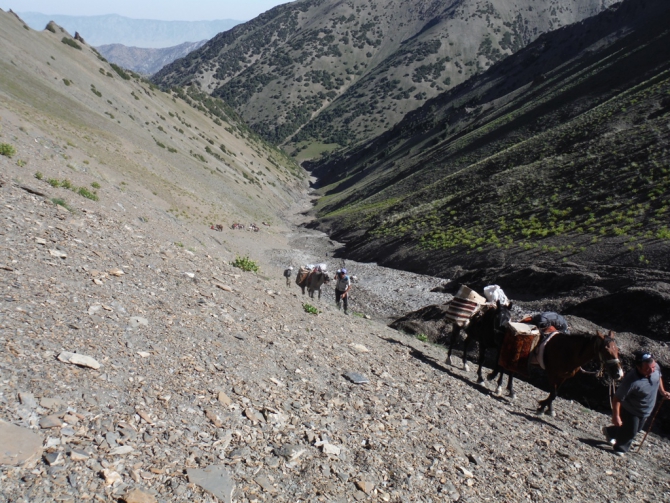 Каравшин. Как круто провести время... Или не замерзнуть! (клепиков, воронова, иркутск, 4810, чемпионат, п. одесса, залезли, альпинизм)