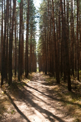 VIII альптриатлон МЭИ. Итоги (Мультигонки, фаис москвы, альпклуб мэи, petzl, баск, 7 вершин, венто, альпиндустрия, спортмарафон)