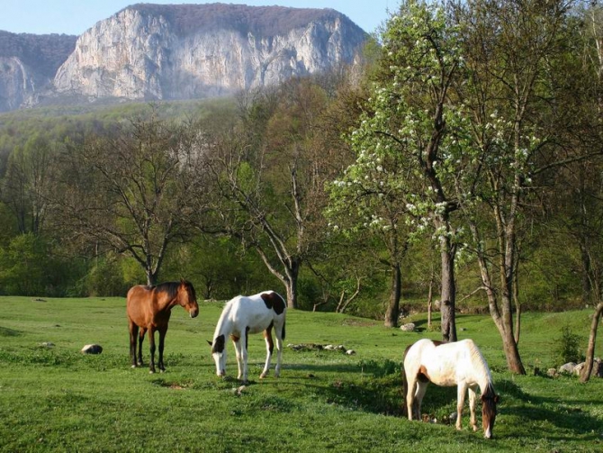 Освоение нового скального района в Крыму. Горная школа ищет спонсора. (Скалолазание, альпинизм, скалолазание, альпинизм, скалолазание, альпинизм, скалолазание, альпинизм, скалолазание, альпинизм, скалолазание)