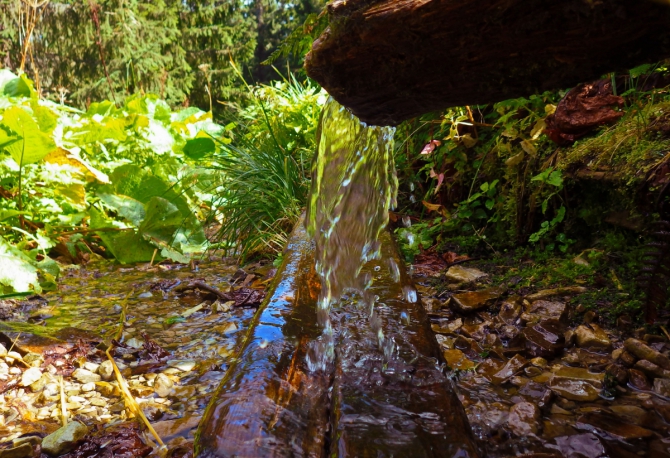 Осень в Карпатах (Путешествия, поход выходного дня, карпаты, поход выходного дня, карпаты)