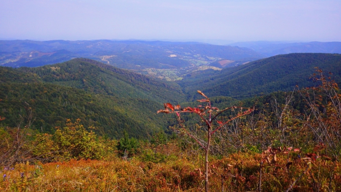 Осень в Карпатах (Путешествия, поход выходного дня, карпаты, поход выходного дня, карпаты)