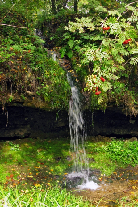 По водопадам и родникам Калужской области, или тест написания постов в новом Риске (Путешествия, пвд, пвд)