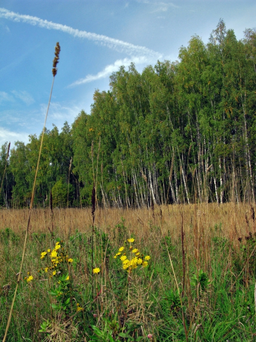 По водопадам и родникам Калужской области, или тест написания постов в новом Риске (Путешествия, пвд, пвд)