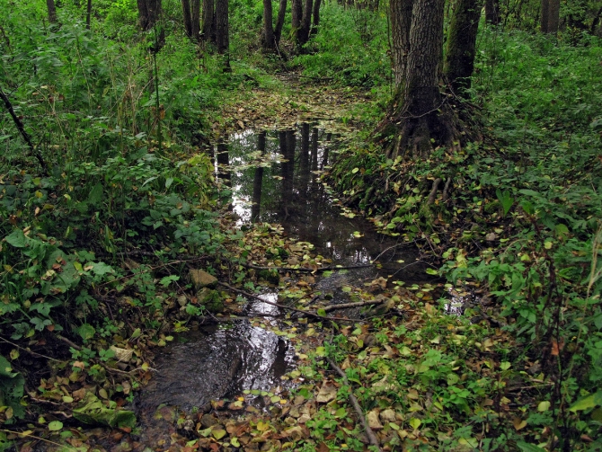 По водопадам и родникам Калужской области, или тест написания постов в новом Риске (Путешествия, пвд, пвд)