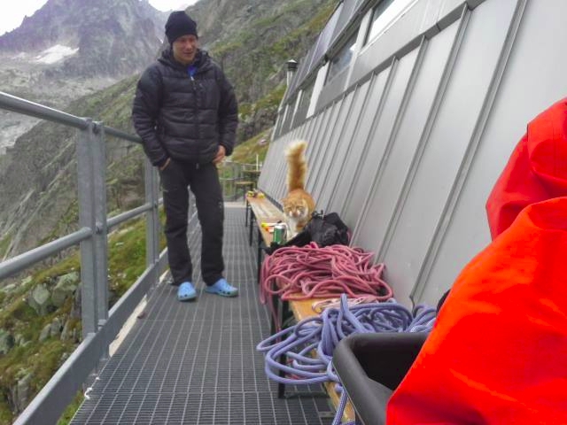 Гранд Жорас. Знакомство. (Альпинизм, grandes jorasses, North Face, Shroud, Linceul, Leichtuch, chamonix, grandes jorasses, North Face, Shroud, Linceul, Leichtuch, chamonix, grandes jorasses, North Face, Shroud, Linceul, Leichtuch, chamonix, grandes jorasses, North Face, Shroud, Linceul, Leichtuch, chamonix, grandes jorasses, North Face, Shroud, Linceul, Leichtuch, chamonix, grandes jorasses, North Face, Shroud, Linceul, Leichtuch, chamonix, grandes jorasses, North Face, Shroud, Linceul, Leichtuch, chamonix, grandes jorasses, North Face, Shroud, Linceul, Leichtuch, chamonix, grandes jorasses, North Face, Shroud, Linceul, Leichtuch, chamonix, grandes jorasses, North Face, Shroud, Linceul, Leichtuch, chamonix, grandes jorasses, North Face, Shroud, Linceul, Leichtuch, chamonix, grandes jorasses, North Face, Shroud, Linceul, Leichtuch, chamonix)