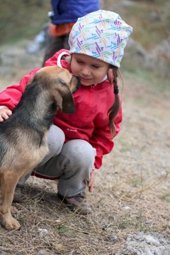 Говорит Сокол (Альпинизм)