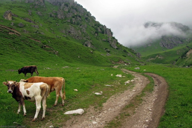 Безенги-2014. Фоторассказ (Горный туризм, горы, кавказ, Шиле, Соухауз, Гийбашкёль, думала, коштантау)