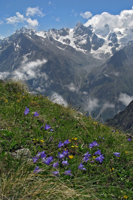 Безенги-2014. Фоторассказ (Горный туризм, горы, кавказ, Шиле, Соухауз, Гийбашкёль, думала, коштантау)