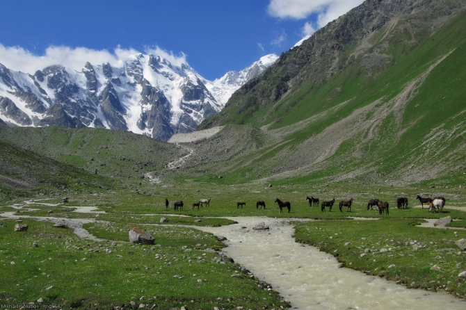 Безенги-2014. Фоторассказ (Горный туризм, горы, кавказ, Шиле, Соухауз, Гийбашкёль, думала, коштантау)