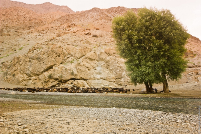 Фанские горы, август 2014, полный фотоотчет (Горный туризм, фаны, фаны таджикистан, горы таджикистана, ЭкстримГид, Брошеван Сергей, фотоотчет фанские горы, фаны, фаны таджикистан, горы таджикистана, ЭкстримГид, Брошеван Сергей, фотоотчет фанские горы)