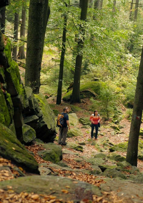 Горный Фестиваль им. Анджея Завады