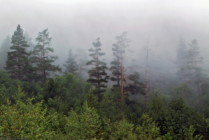 Из Дигории в Балкарию '2014. Фоторассказ (Горный туризм, горы, кавказ, дигория, балкария, Авсанау, Штулу)