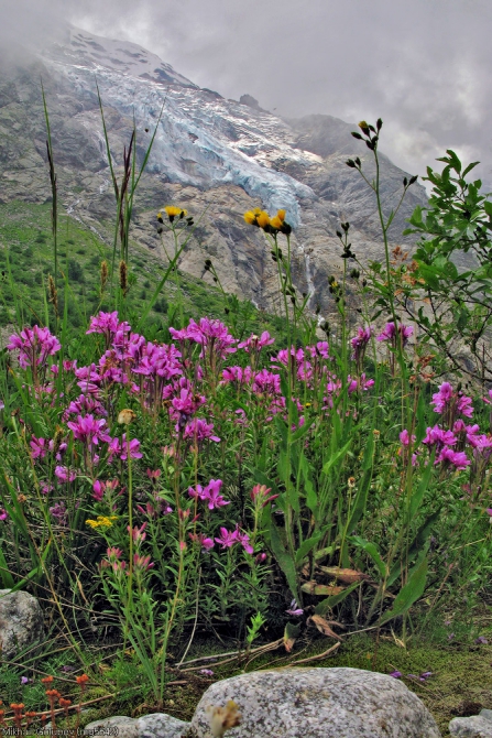 Из Дигории в Балкарию '2014. Фоторассказ (Горный туризм, горы, кавказ, дигория, балкария, Авсанау, Штулу)