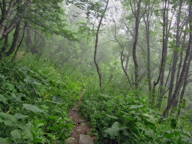 Из Дигории в Балкарию '2014. Фоторассказ (Горный туризм, горы, кавказ, дигория, балкария, Авсанау, Штулу)