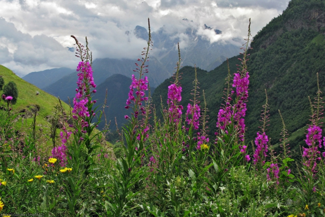 Из Дигории в Балкарию '2014. Фоторассказ (Горный туризм, горы, кавказ, дигория, балкария, Авсанау, Штулу)