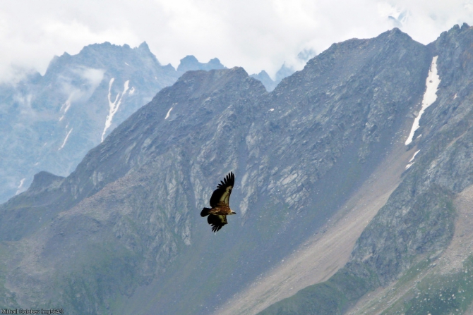 Из Дигории в Балкарию '2014. Фоторассказ (Горный туризм, горы, кавказ, дигория, балкария, Авсанау, Штулу)