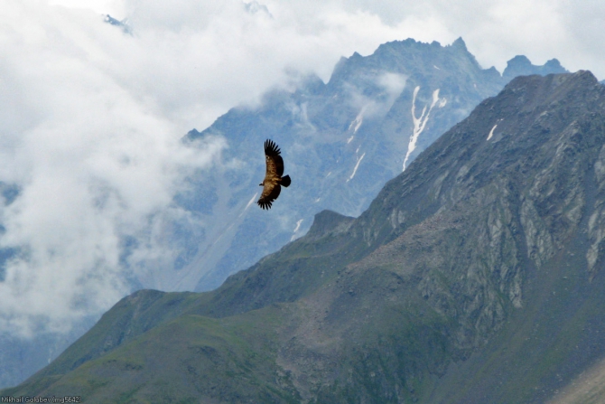 Из Дигории в Балкарию '2014. Фоторассказ (Горный туризм, горы, кавказ, дигория, балкария, Авсанау, Штулу)