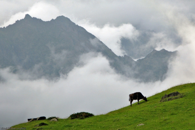 Из Дигории в Балкарию '2014. Фоторассказ (Горный туризм, горы, кавказ, дигория, балкария, Авсанау, Штулу)