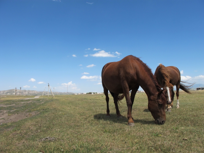 Мои первые семь. Восхождение на Хан-Тенгри (7010м). Северный маршрут. Август 2014 (Альпинизм)