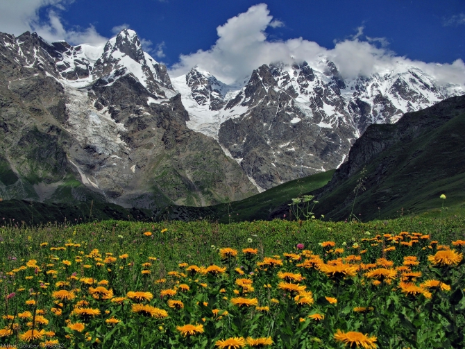 Сванетия-2014. Из Адиши в Ушгули вдоль Безенгийской стены (Горный туризм, горы, кавказ, грузия, фото, местиа, ушба, горы, кавказ, грузия, фото, местиа, ушба)