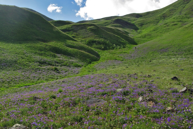 Сванетия-2014. Из Адиши в Ушгули вдоль Безенгийской стены (Горный туризм, горы, кавказ, грузия, фото, местиа, ушба, горы, кавказ, грузия, фото, местиа, ушба)