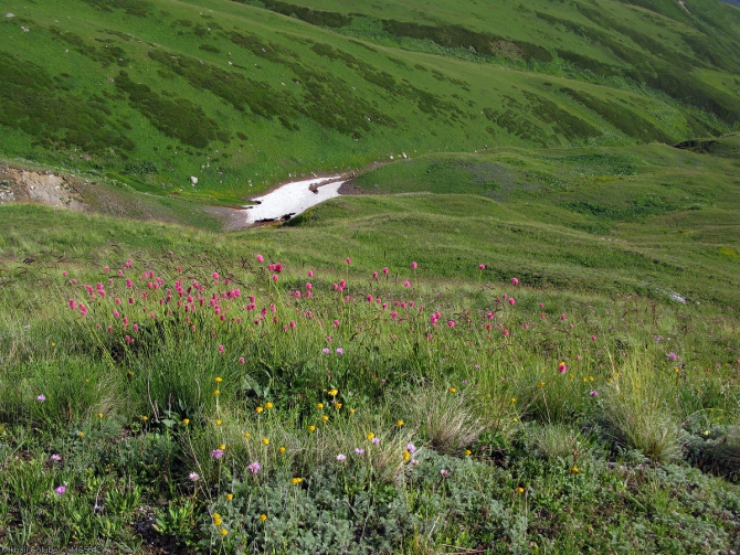 Сванетия-2014. Из Адиши в Ушгули вдоль Безенгийской стены (Горный туризм, горы, кавказ, грузия, фото, местиа, ушба, горы, кавказ, грузия, фото, местиа, ушба)