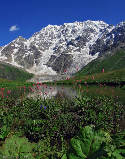 Сванетия-2014. Из Адиши в Ушгули вдоль Безенгийской стены (Горный туризм, горы, кавказ, грузия, фото, местиа, ушба, горы, кавказ, грузия, фото, местиа, ушба)