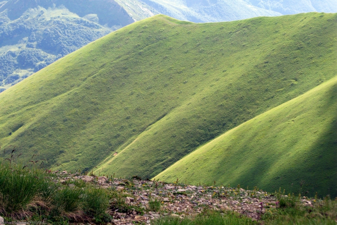 Сванетия-2014. Из Адиши в Ушгули вдоль Безенгийской стены (Горный туризм, горы, кавказ, грузия, фото, местиа, ушба, горы, кавказ, грузия, фото, местиа, ушба)