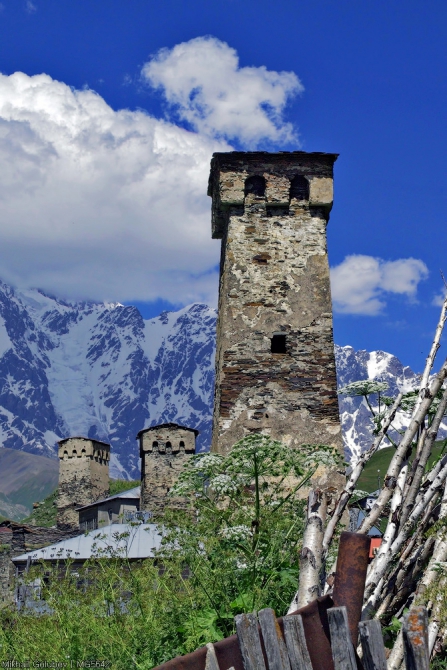 Сванетия-2014. Из Адиши в Ушгули вдоль Безенгийской стены (Горный туризм, горы, кавказ, грузия, фото, местиа, ушба, горы, кавказ, грузия, фото, местиа, ушба)