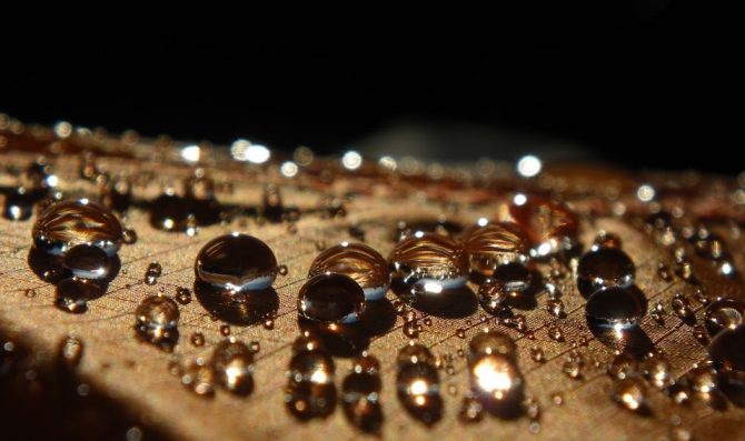 Погулять к Эльбрусу с севера. Спасибо, кошки! (Горный туризм, снаряжение, кавказ, видео, снаряжение, кавказ, видео, снаряжение, кавказ, видео, снаряжение, кавказ, видео, снаряжение, кавказ, видео, снаряжение, кавказ, видео)