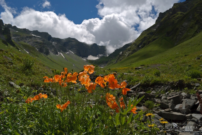 Рача - 2013. Фотоальбом (Горный туризм)