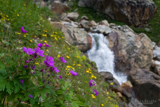 Рача - 2013. Фотоальбом (Горный туризм)