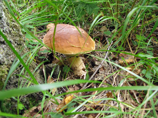 Приказбечье - 2014. Фоторассказ (Горный туризм, горы, кавказ, грузия, Кистинка, чаухи, Шатили, казбек, горы, кавказ, грузия, Кистинка, чаухи, Шатили, казбек)