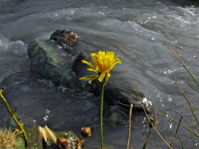 Приказбечье - 2014. Фоторассказ (Горный туризм, горы, кавказ, грузия, Кистинка, чаухи, Шатили, казбек, горы, кавказ, грузия, Кистинка, чаухи, Шатили, казбек)