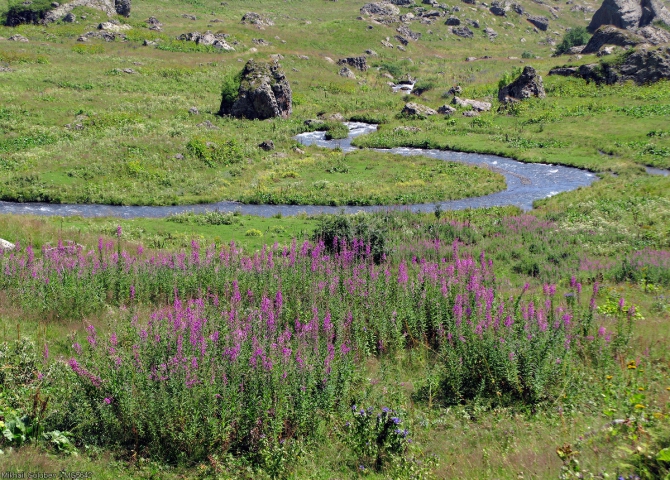 Приказбечье - 2014. Фоторассказ (Горный туризм, горы, кавказ, грузия, Кистинка, чаухи, Шатили, казбек, горы, кавказ, грузия, Кистинка, чаухи, Шатили, казбек)