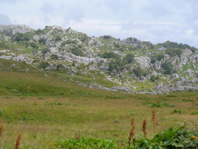 Детский поход в Лагонаки (Путешествия, дети, маи, Цица, оштен)