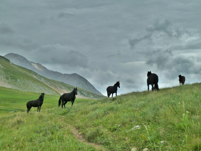 Детский поход в Лагонаки (Путешествия, дети, маи, Цица, оштен)