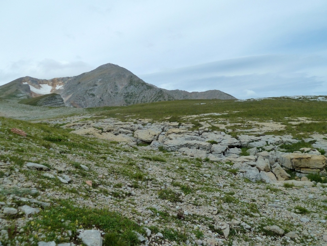 Детский поход в Лагонаки (Путешествия, дети, маи, Цица, оштен)