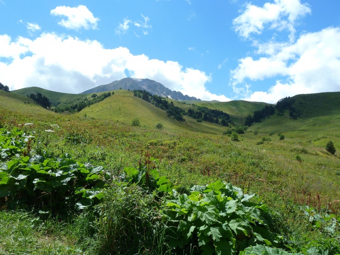 Детский поход в Лагонаки (Путешествия, дети, маи, Цица, оштен)