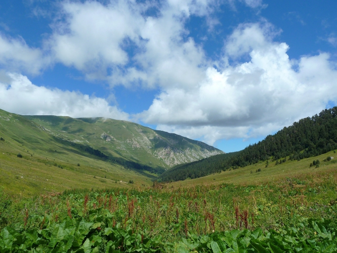 Детский поход в Лагонаки (Путешествия, дети, маи, Цица, оштен)