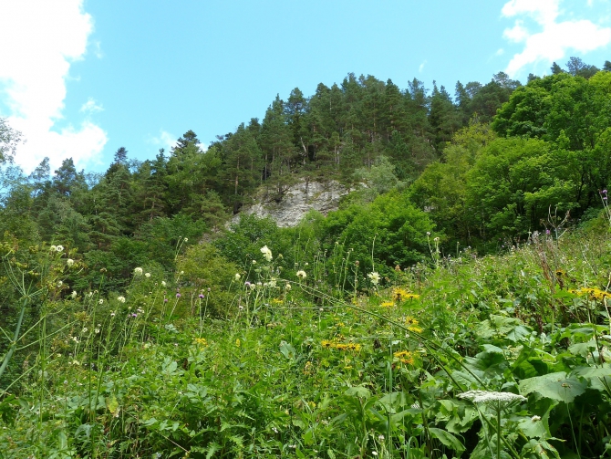 Детский поход в Лагонаки (Путешествия, дети, маи, Цица, оштен)