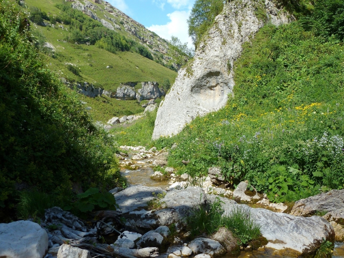 Детский поход в Лагонаки (Путешествия, дети, маи, Цица, оштен)