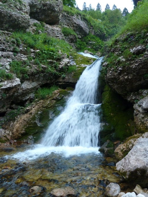 Детский поход в Лагонаки (Путешествия, дети, маи, Цица, оштен)