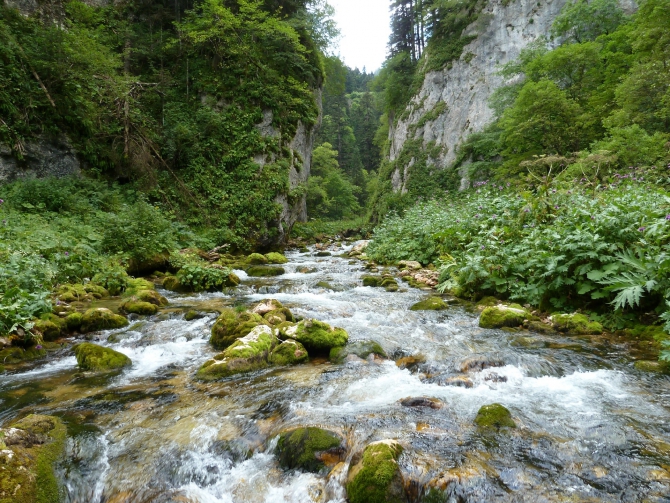 Детский поход в Лагонаки (Путешествия, дети, маи, Цица, оштен)