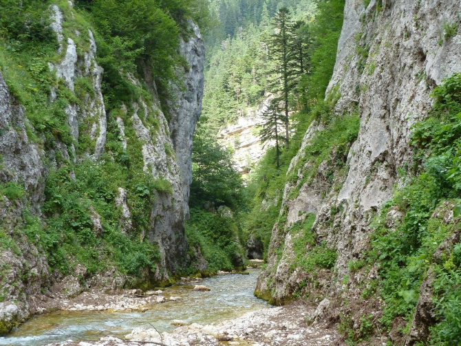Детский поход в Лагонаки (Путешествия, дети, маи, Цица, оштен)
