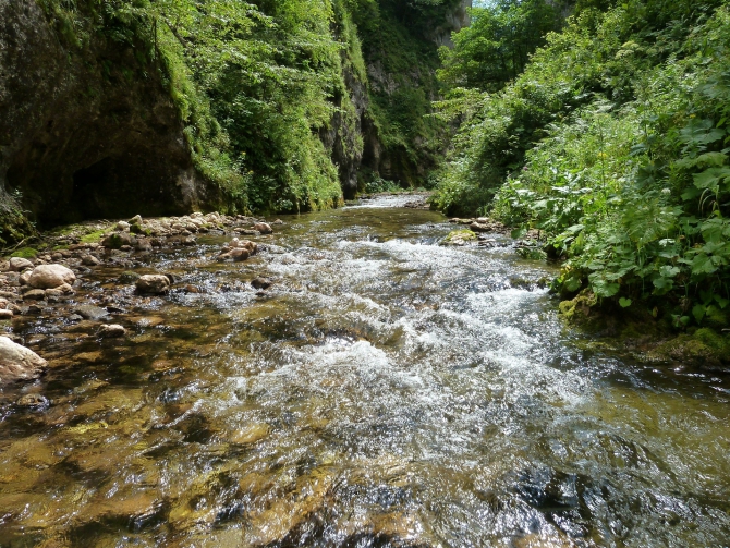 Детский поход в Лагонаки (Путешествия, дети, маи, Цица, оштен)